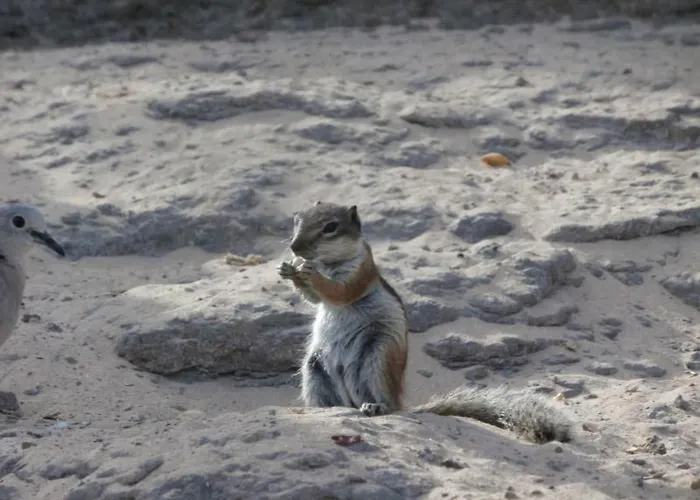 Iwona Mit Meerblick By Interhome * كوستا كالما